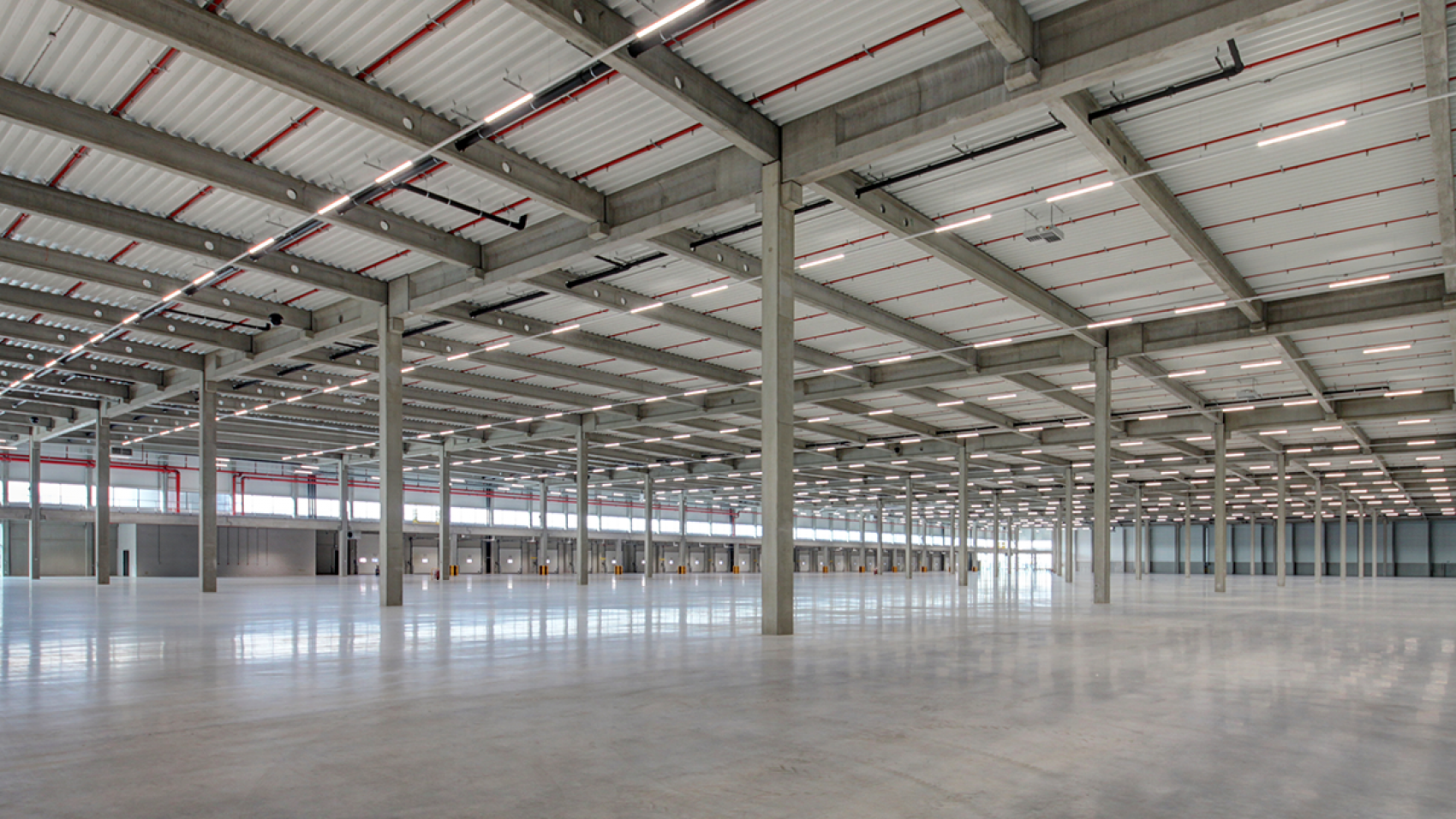 Willy Naessens Nederland _840