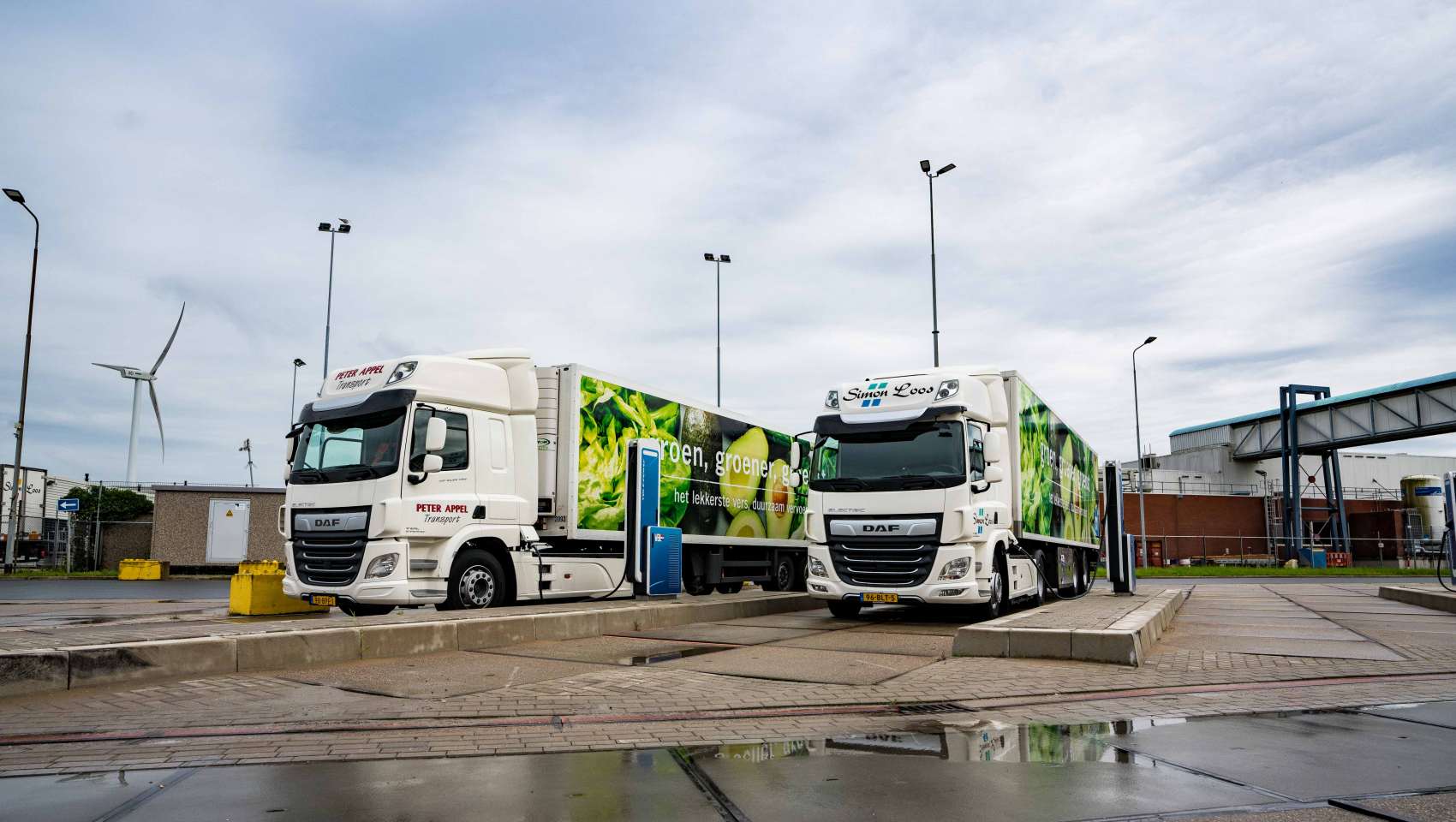 Header video lange pagina