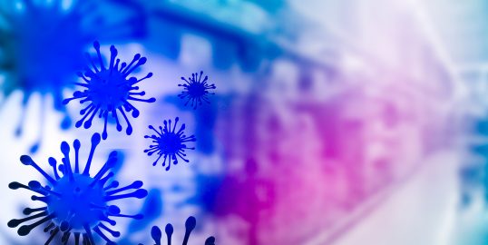 Foto - 6:4 button 3.