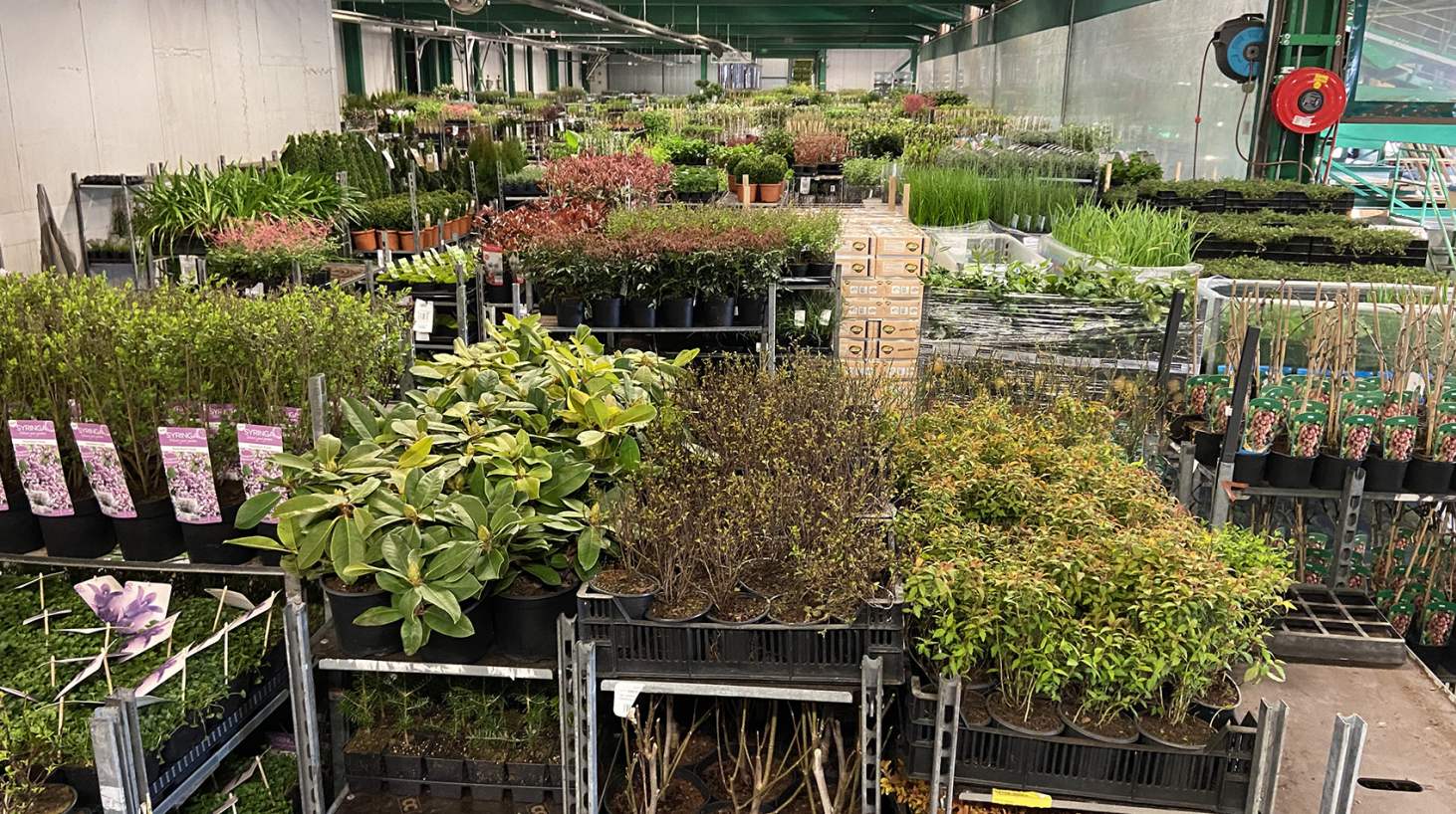 Foto - 6:4 verhouding