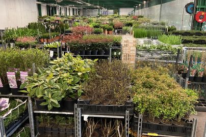 Foto - 6:4 verhouding