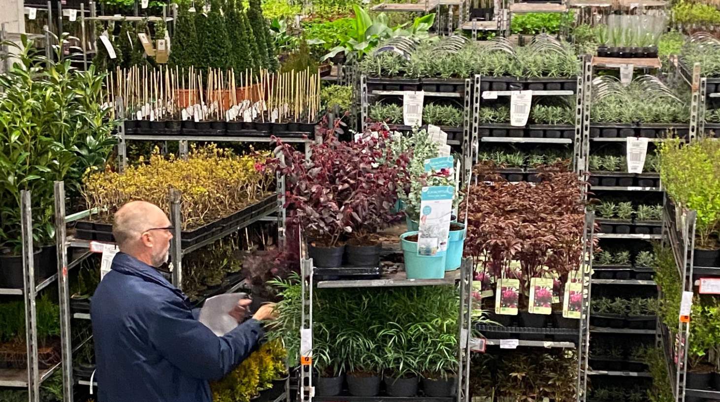 Foto - 6:4 verhouding