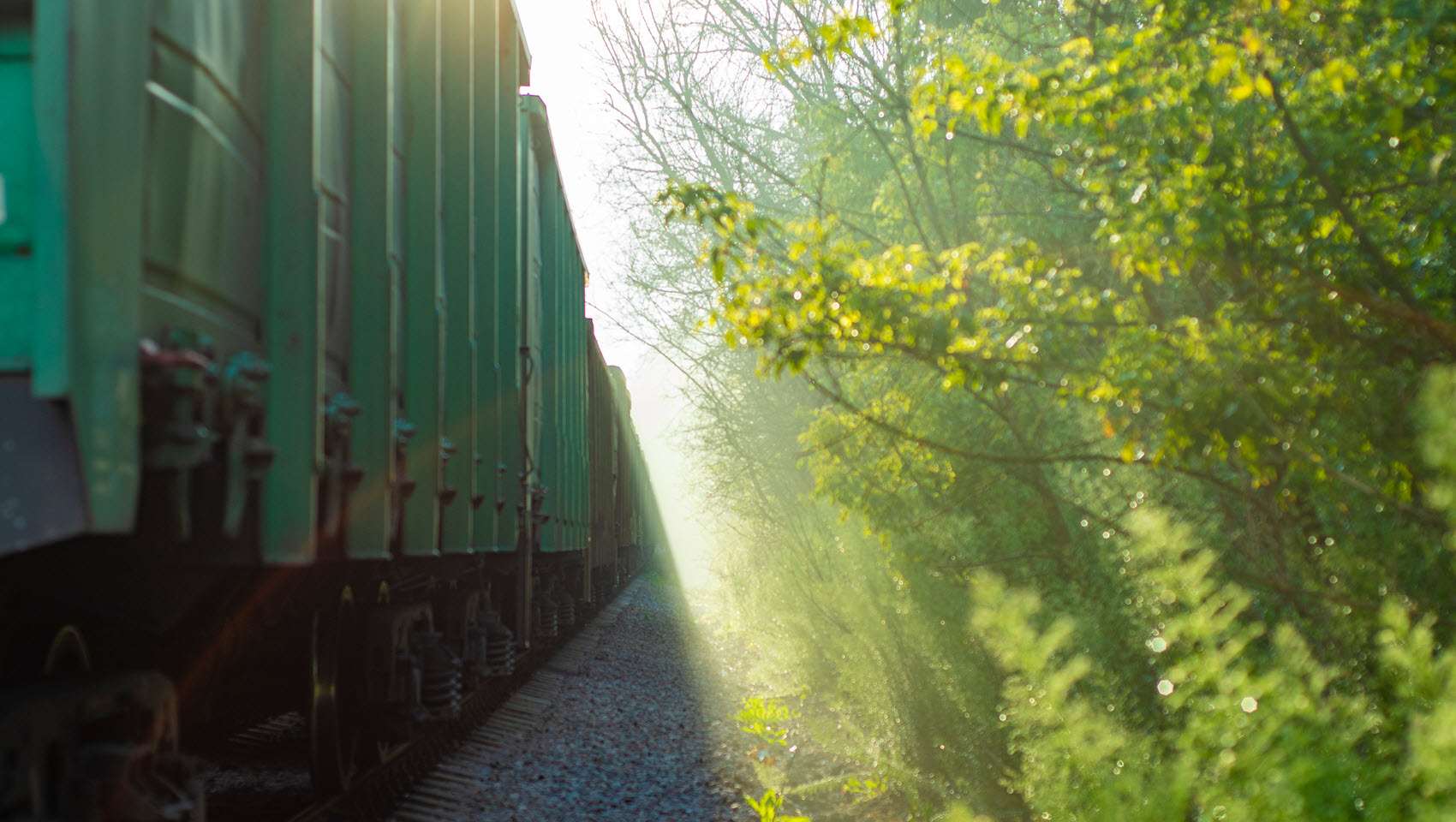 foto breed - wordt afgesneden aan de onderkant - ev. zelf uitsnede maken 1700 x 96 COPY