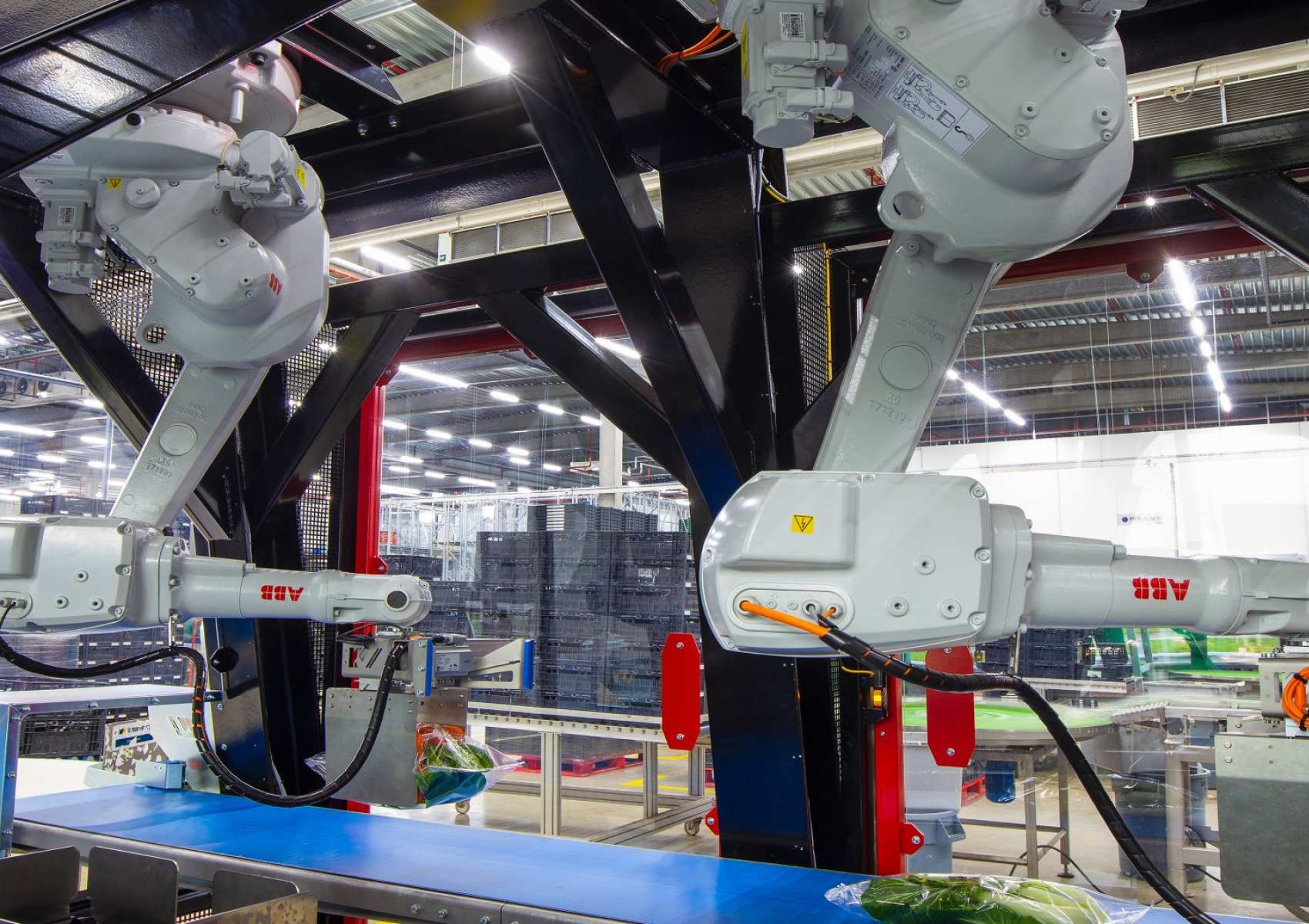 Foto op achtergrond - 17:12 verhouding