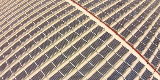 Foto - 6:4 button 5.