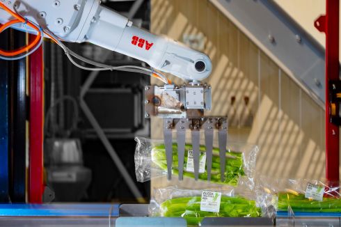 Foto - 6:4 verhouding  - inhoud