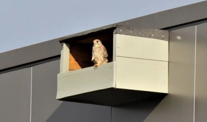 Foto 4 - 6:4 verhouding