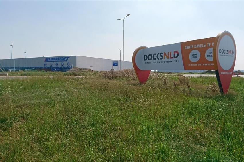 artikel 6 tekst ankeilers_239