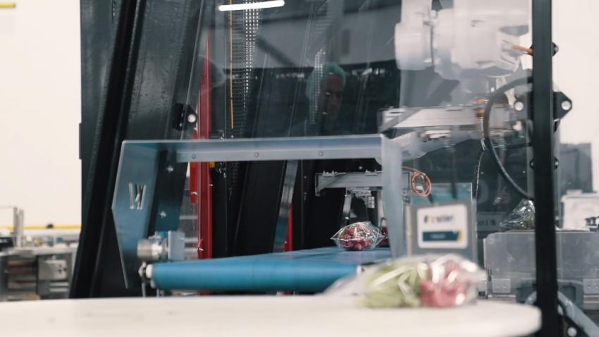 youtube video - inleiding